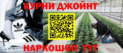 ГАЛЛЮЦИНОГЕННЫЕ ГРИБЫ Ликино-Дулёво