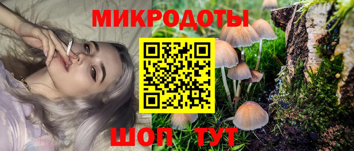 Галлюциногенные грибы прущие грибы Усть-Джегута