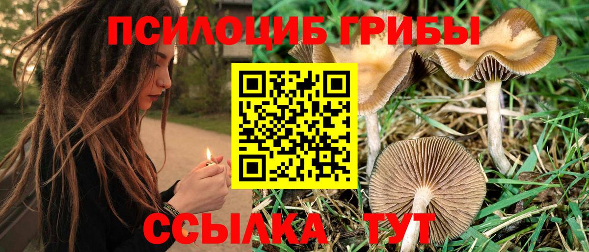 как найти закладки  Галлюциногенные грибы прущие грибы  Вход с VPN  Усть-Джегута 